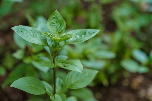 How Are Manufacturers Improving the Environmental Footprint of TV Production and Disposal?